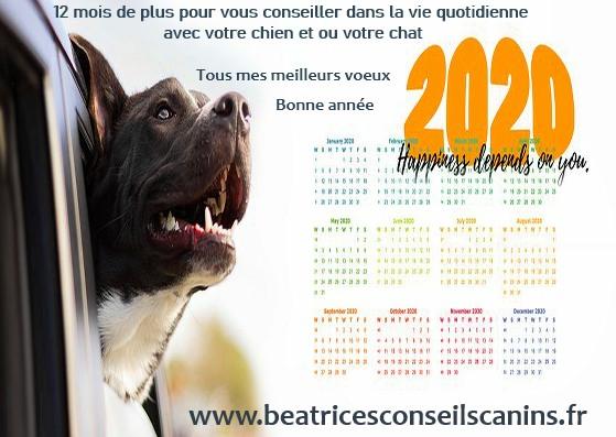 Bonne annee 2020