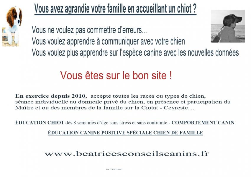 Carte education chiot famille