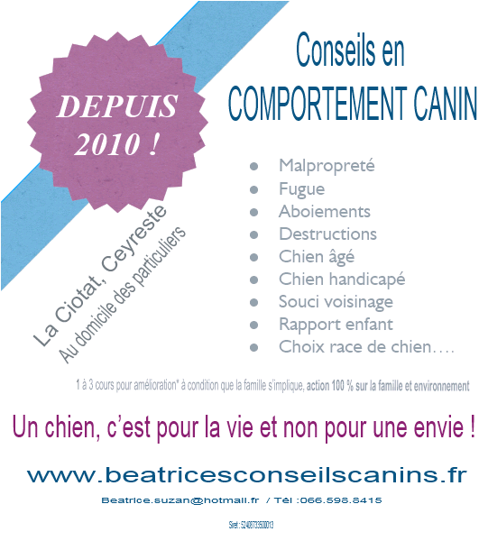 CARTE CONSEILS COMPORTEMENT CANIN