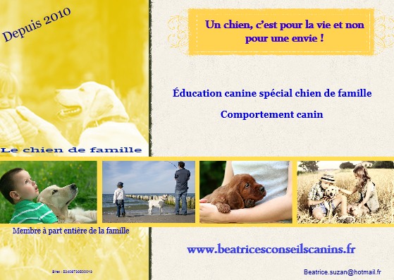 Béatrice 's éducation canine sur la Ciotat